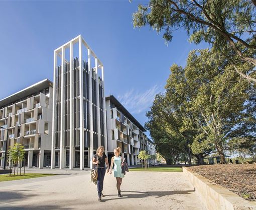 University of Western Australia - 西澳大學